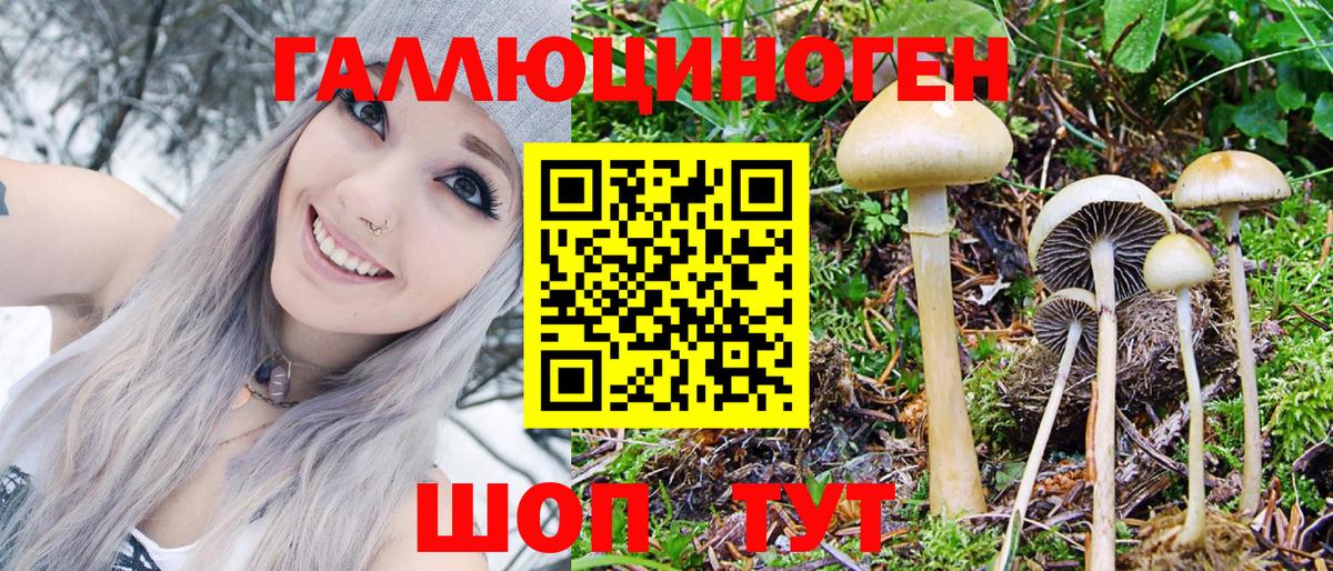 Славгород  Псилоцибиновые грибы Psilocybine cubensis  Вход с VPN 